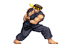 Ryu13